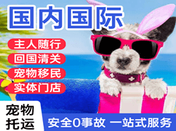 王村空运地址国际宠物托运 【国